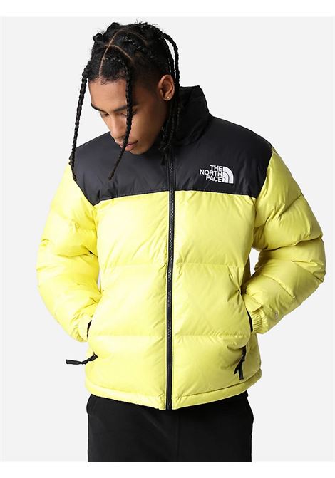 Giubbotto Retro Nuptse The North Face THE NORTH FACE | Giubbotti | NF0A3C8D71U1